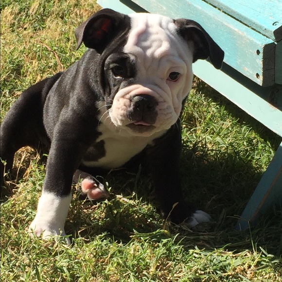 Fall surprises - Picture 4 of 6